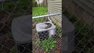 Block foundation walls exterior cracks allowing water in Seger the dog 🐕 doesn't want that water