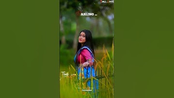 NEW MP TIMLI STATUS SONG #timli #timlistatus #adivasi #adivasisong #timlisong #timlidance