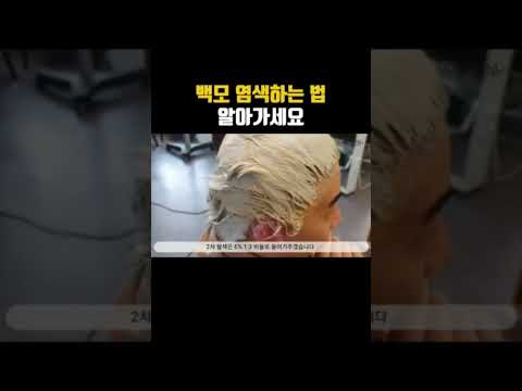 <strong>백모</strong> 염색하는 법 그로잉살롱에서 알려드려요🥰