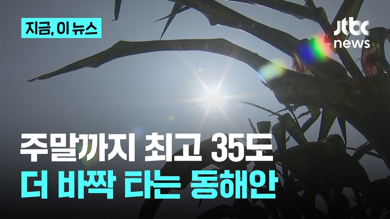 주말까지 최고 35도…푄 현상 탓에 바짝 타들어가는 동해안|지금 이 뉴스 - YouTube