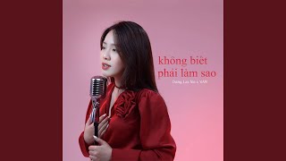 Không Biết Phải Làm Sao