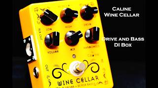 The Caline Wine Cellar Drive and Bass DI Box.