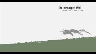 Pineapple Thief All I Need To Know
