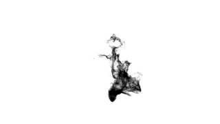 Ink Simulation 3ds Max