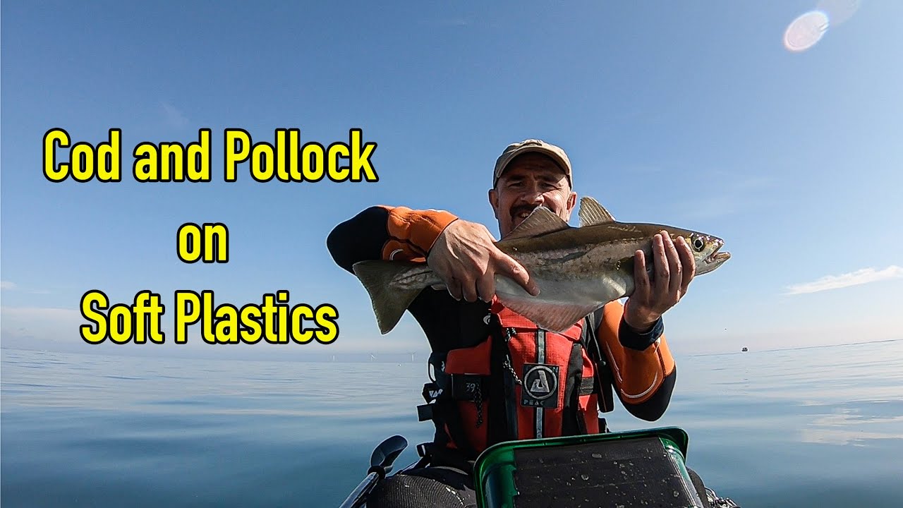 Kayak Fishing Whitley Bay for Cod and Pollock YouTube