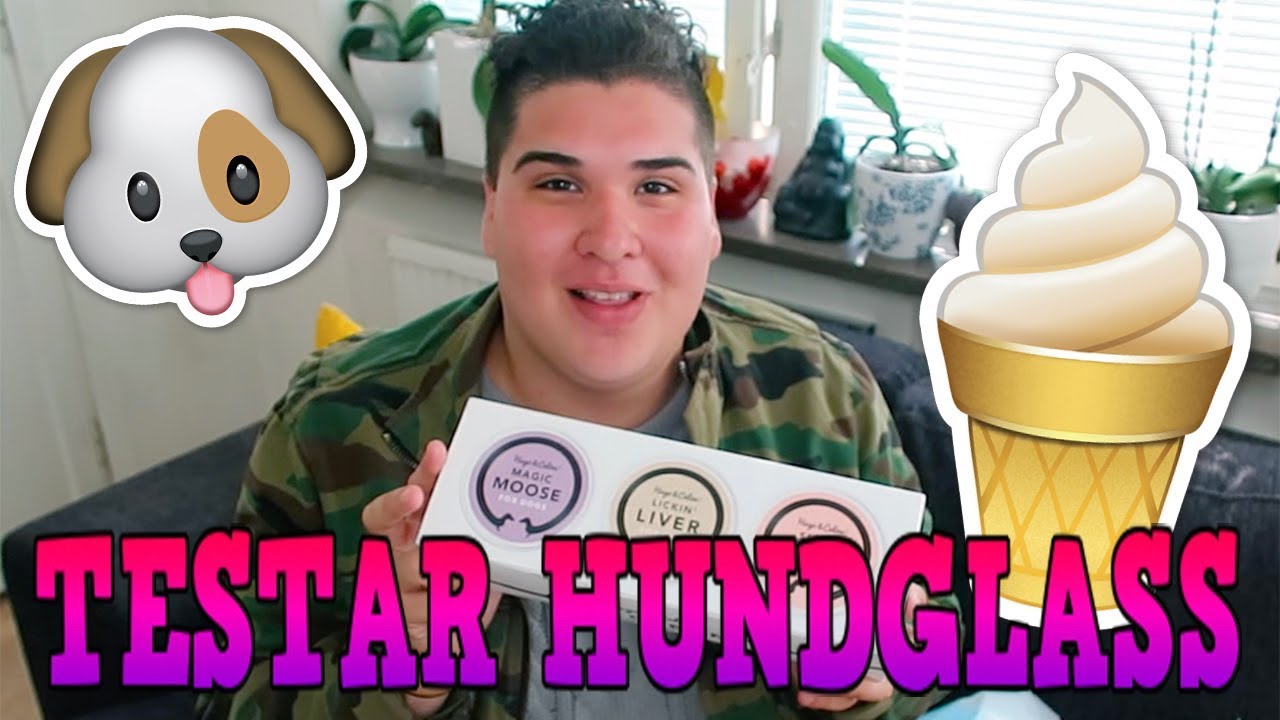 TESTAR HUNDGLASS (ÄLG, LEVER OCH LAX)