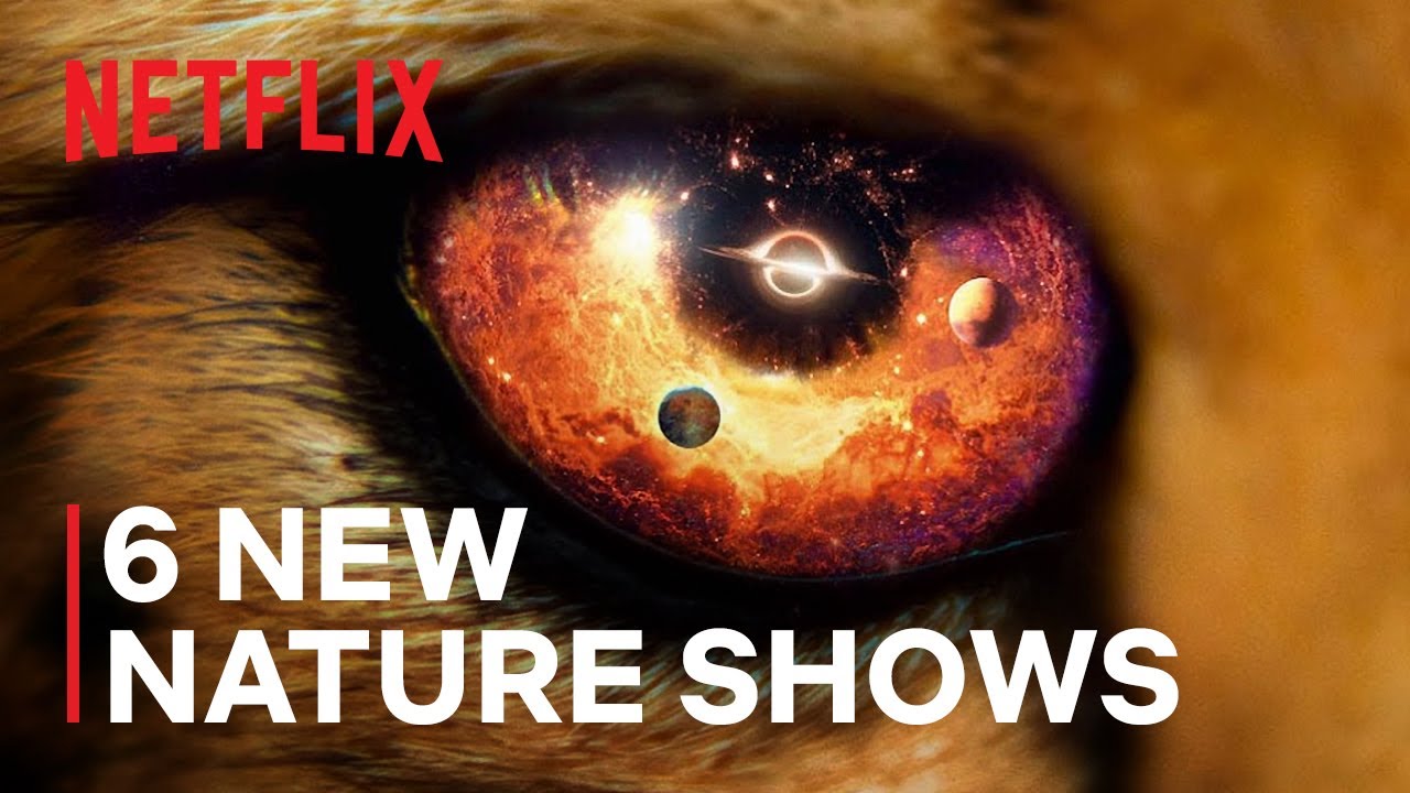 ⁣6 Mind Blowing New Nature Documentaries | Only on Netflix