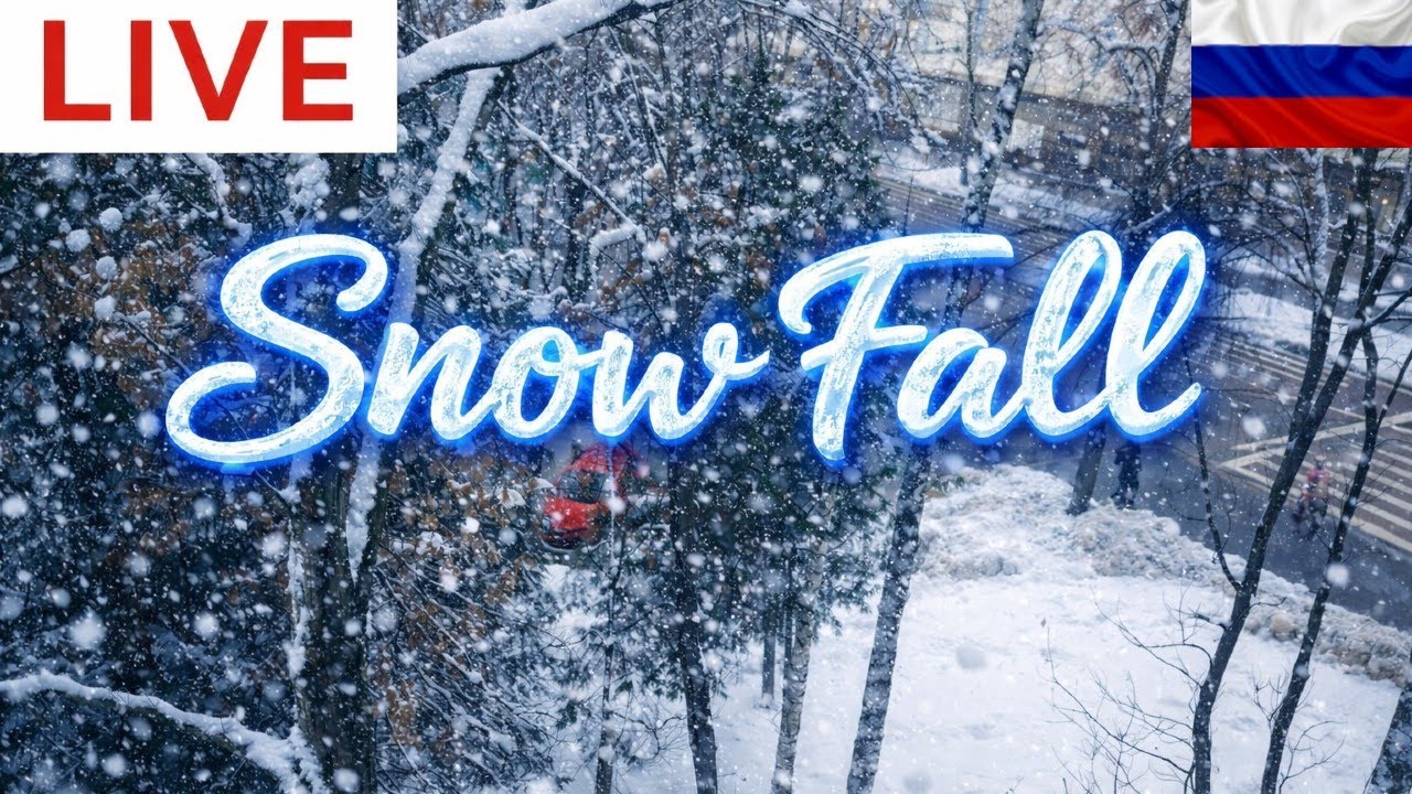 Live Snowfall 