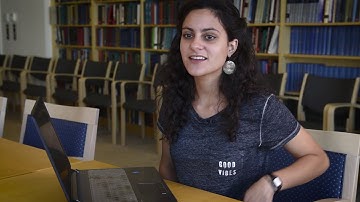 CBMM Undergraduate Summer Research Internships in Neuroscience 2016