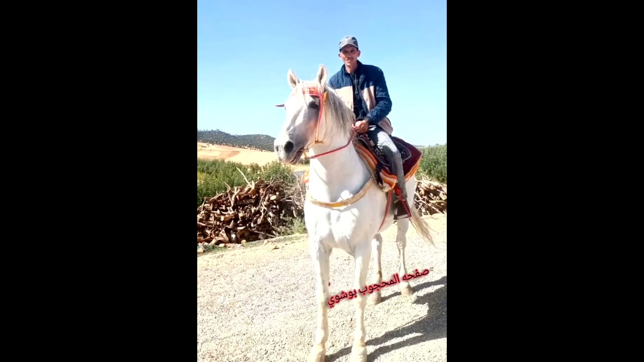 الشاعر محمد أوعزيز من إيتزر يبدع في قصيدة أمازيغية احتفاء برمضان