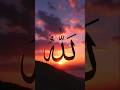 Islamic Calligraphy Art