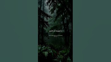 لقد رضي الله عن المؤمنين إذ يبايعونك تحت الشجرة | القارئ عبد الرحمن مسعد سورة الفتح #quran #قرآن