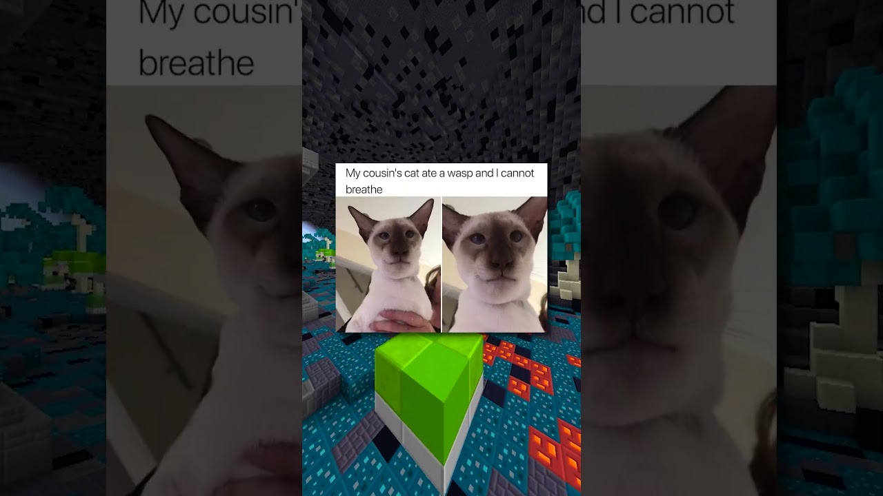 CUTENESS OVERLOAD!! 🥺🥺 