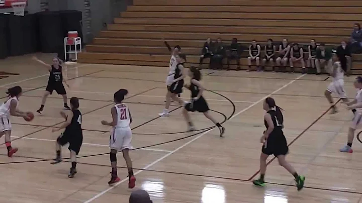 Steal and a Layup by Callie Shelton