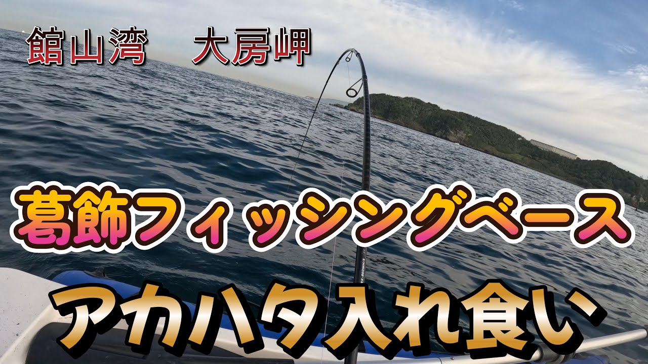 館山湾大房岬で2馬力ボート根魚狙い　アカハタ入れ食い　  2023年10月14日