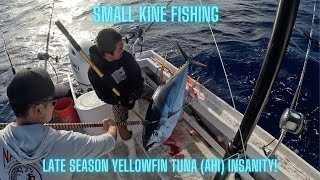 [SMALL KINE] LATE SEASON YELLOWFIN TUNA (AHI) INSANITY!