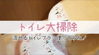 【掃除動画】トイレの大掃除しました。