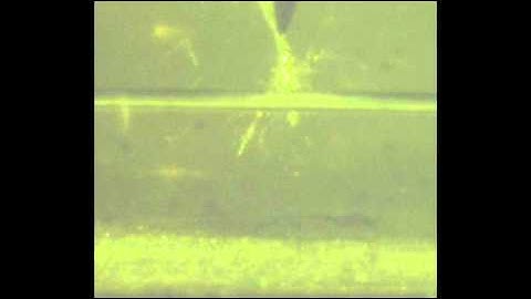 Electrical treeing in presence of ventilated channel.wmv