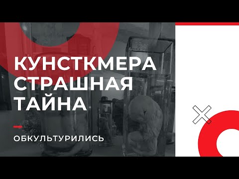 КУНСТКАМЕРА страшная тайна | ОБКУЛЬТУРИЛИСЬ