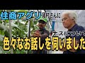 (ナス)住商アグリ　農業のスペシャリストにナスについて色々なお話を伺いました