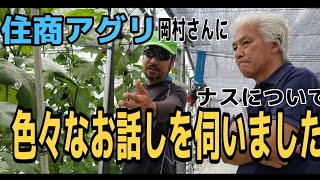 (ナス)住商アグリ　農業のスペシャリストにナスについて色々なお話を伺いました