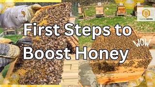 Making the First Steps to Boost my Honey Production | Important Steps