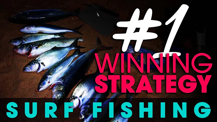 Do you need a WINNING fishing strategy?!