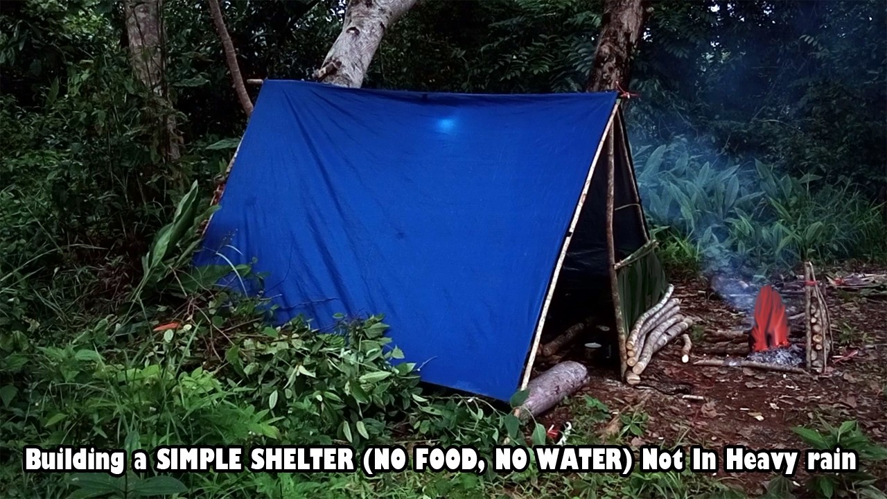 CAMPING 24 HOURS survival alone Building a SIMPLE SHELTER (NO FOOD, NO ...