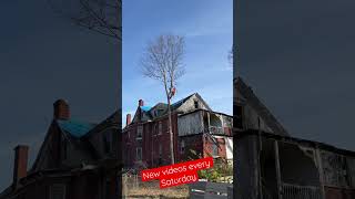 Taming 20 years of growth at our abandoned mansion project!