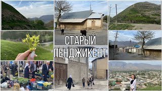 картинка: Vlog: Старый Пенджикент / базар / самса / бойчечак