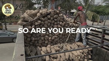 EKO YAMS 3.0 INTRO VIDEO