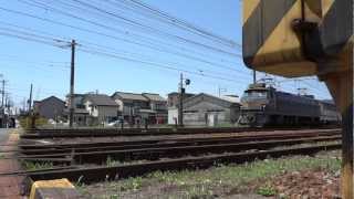 EF66 36号機[吹]牽引1090レ 吉原駅～富士駅間通過