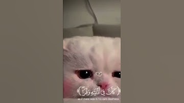 وإذا تتلى عليه آياتنا