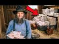 The Amish Chicken System That Produces 200 Pounds of Free Meat and 500 Eggs Yearly