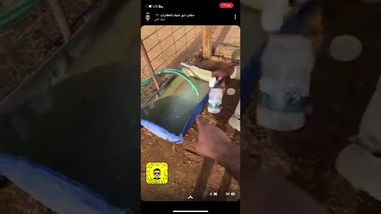 النتيجة النهائية لتغذية المرضعات الماعز بعد مقاطعة المكعب وانتظار نتيجة ارتفاع نسبة الذكور بالحري