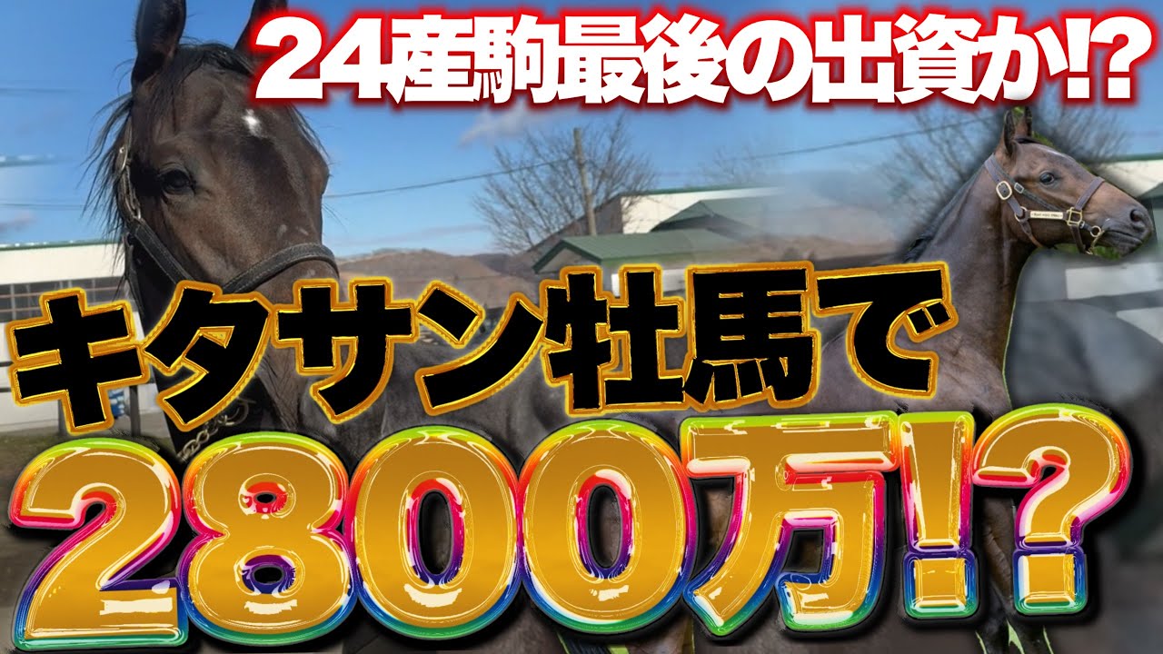 【破格】キタサンブラック産駒牡馬がまさかの2800万円で募集されているんですが… #競馬 #一口馬主 
