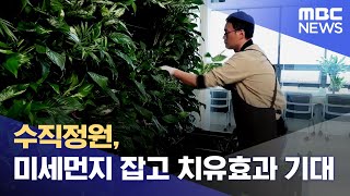 수직정원, 미세먼지 잡고 치유효과도 기대 (2024.04.29/뉴스데스크/안동MBC)