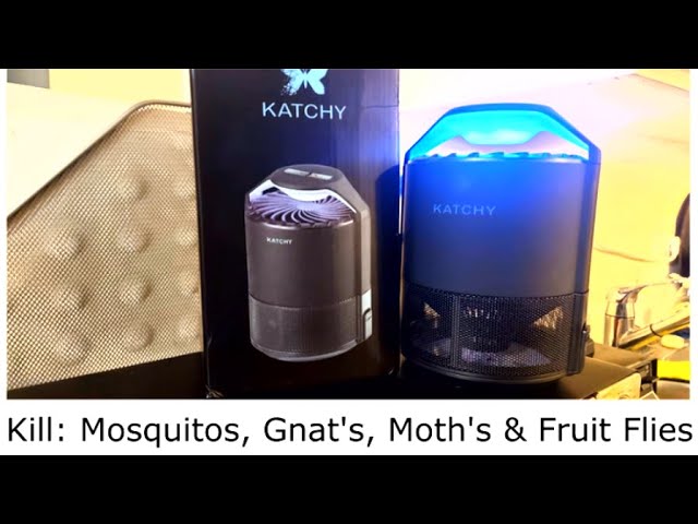 How to get rid of fungus gnats and fruit flies: The Katchy bug trap
