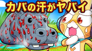 【生き物クイズ】クイズを通して生き物のことを学ぼう!
