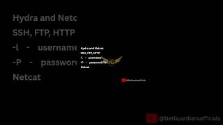 Hydra & Netcat Explained IN 60 Sec | Have you heard of Hydra or Netcat before? #pythonprogramming