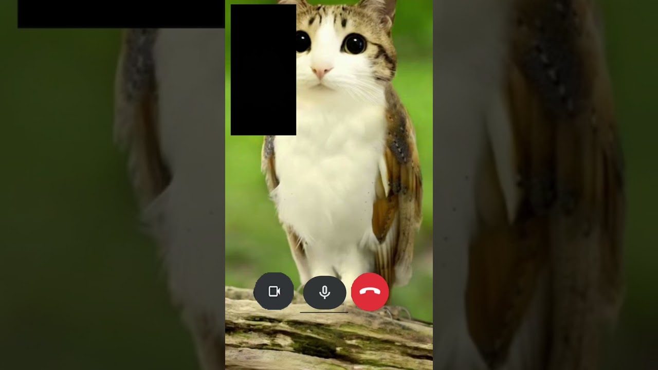 Взяли бы трубку? 