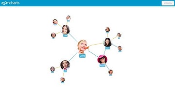 Social Networks with ZoomCharts