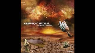 Gipsy Soul - Psychedelic Experience