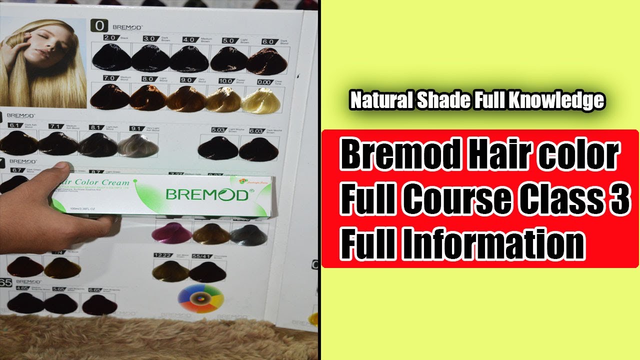 Bremod Hair Color Natural Shade Full Knowledge Class 3 By The Stylish Mod