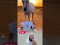حٌيِّنِ ګآنِ آلَقِلَبِ وِآثّقِآ بِآلَلَهِ لَمَ يِّخَفِّ آلَجَِّسدِ👉🤘🤲#عبارات #اقنباسات #دويتو #duet