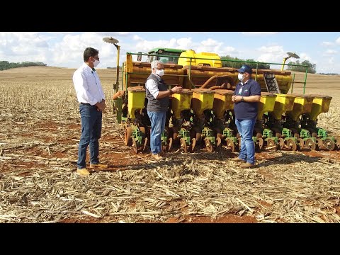 Vídeo: Cuidado Do Solo: Erros Da Tecnologia Agrícola