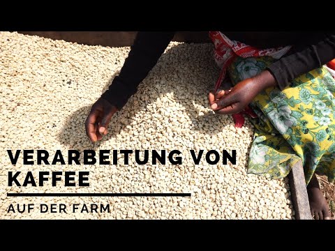 Video: Eierschalen, Zwiebelschalen, Betrunkener Tee Und Kaffee Arbeiten Für Die Ernte