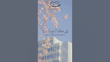 سورة طه | القارئ : محمد ديبيروف