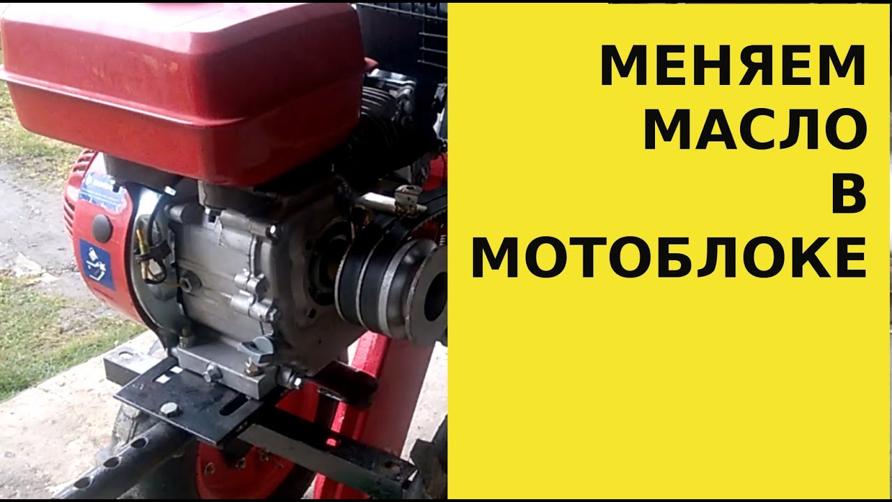 Масло для мотоблока лифан