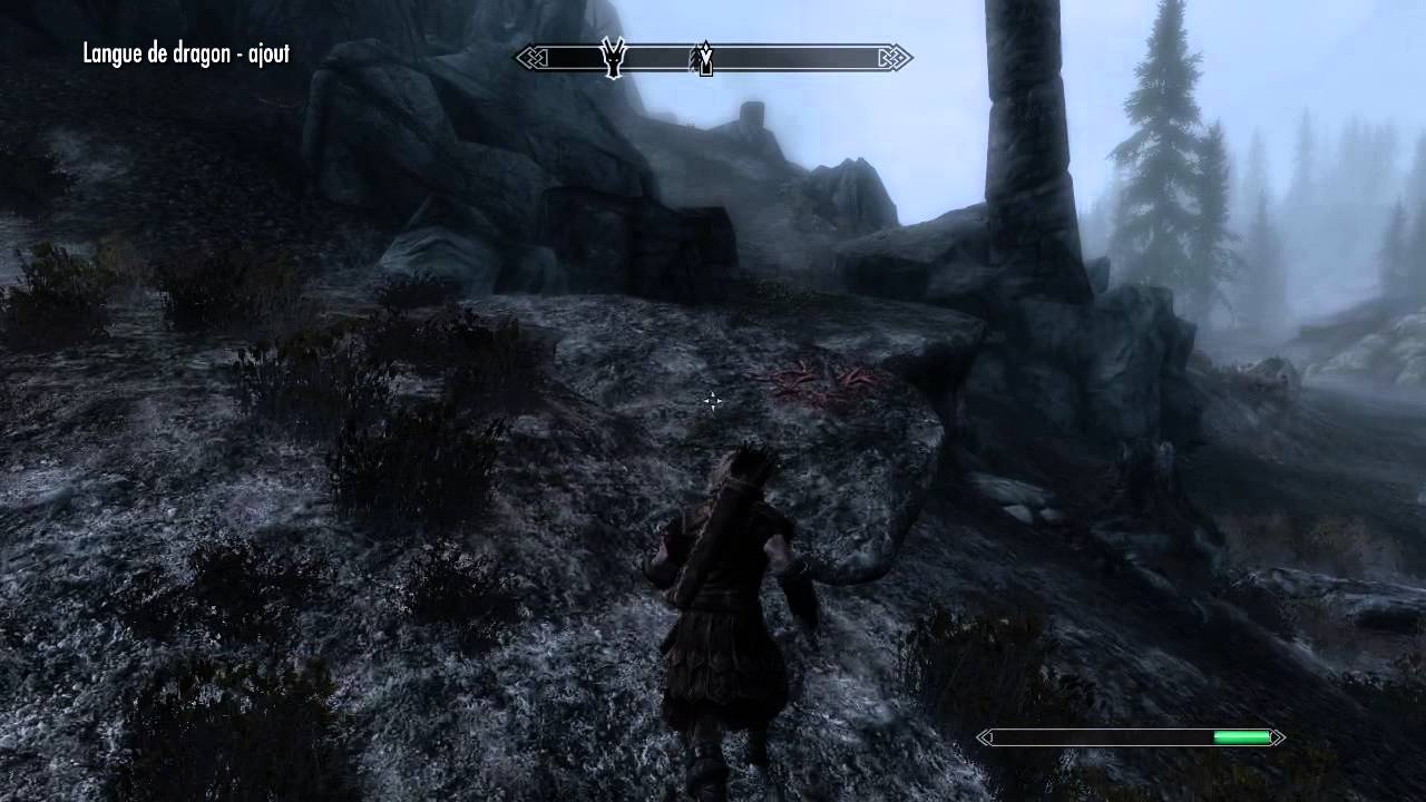 Skyrim : Episode 1 Exploration vers Les Grises-Barbes HD FR